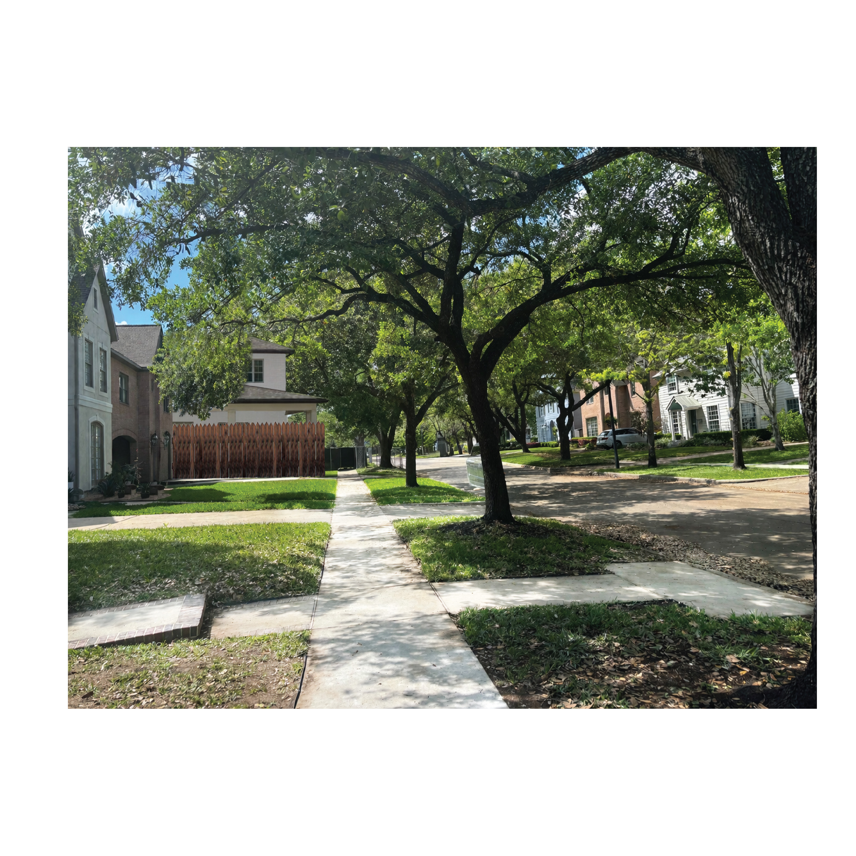 Graphic Design by bethmage janaka for this project | Design #37081907