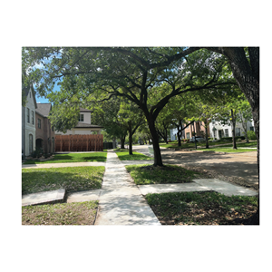 Graphic Design by bethmage janaka for this project | Design: #37081907