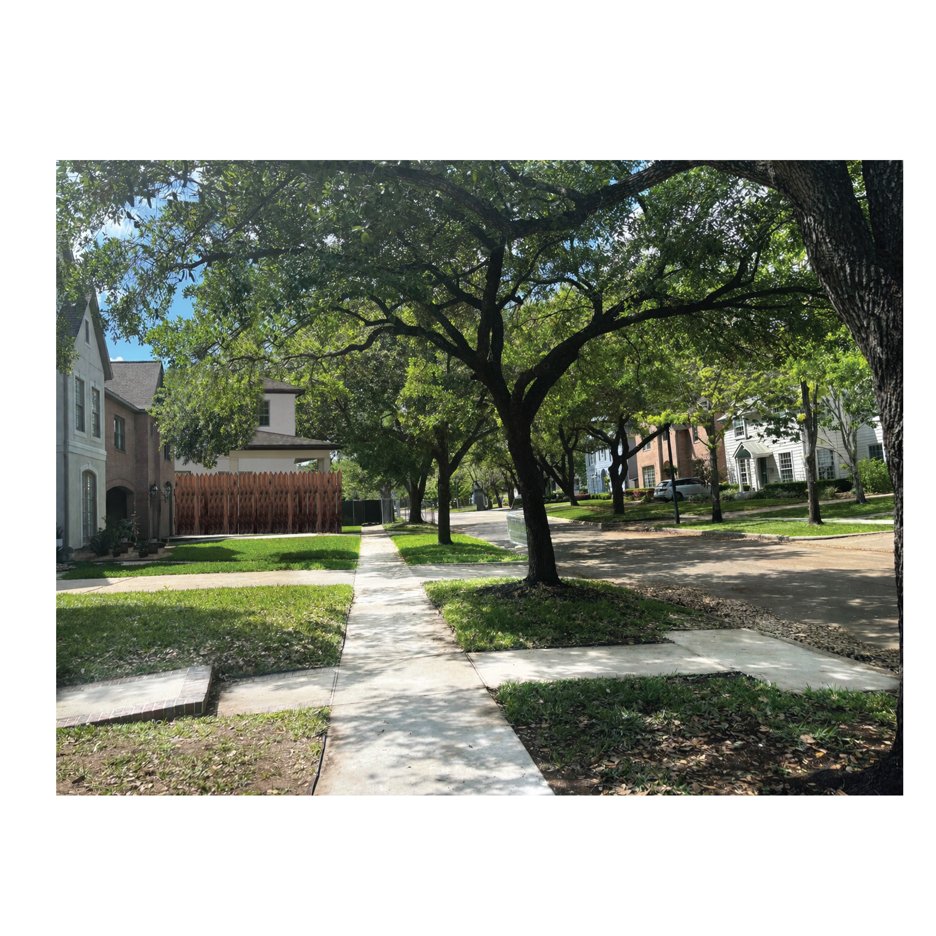 Graphic Design by bethmage janaka for this project | Design #37082003