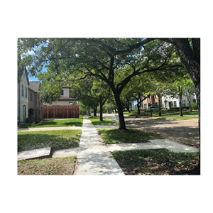 Graphic Design by bethmage janaka for this project | Design #37088029