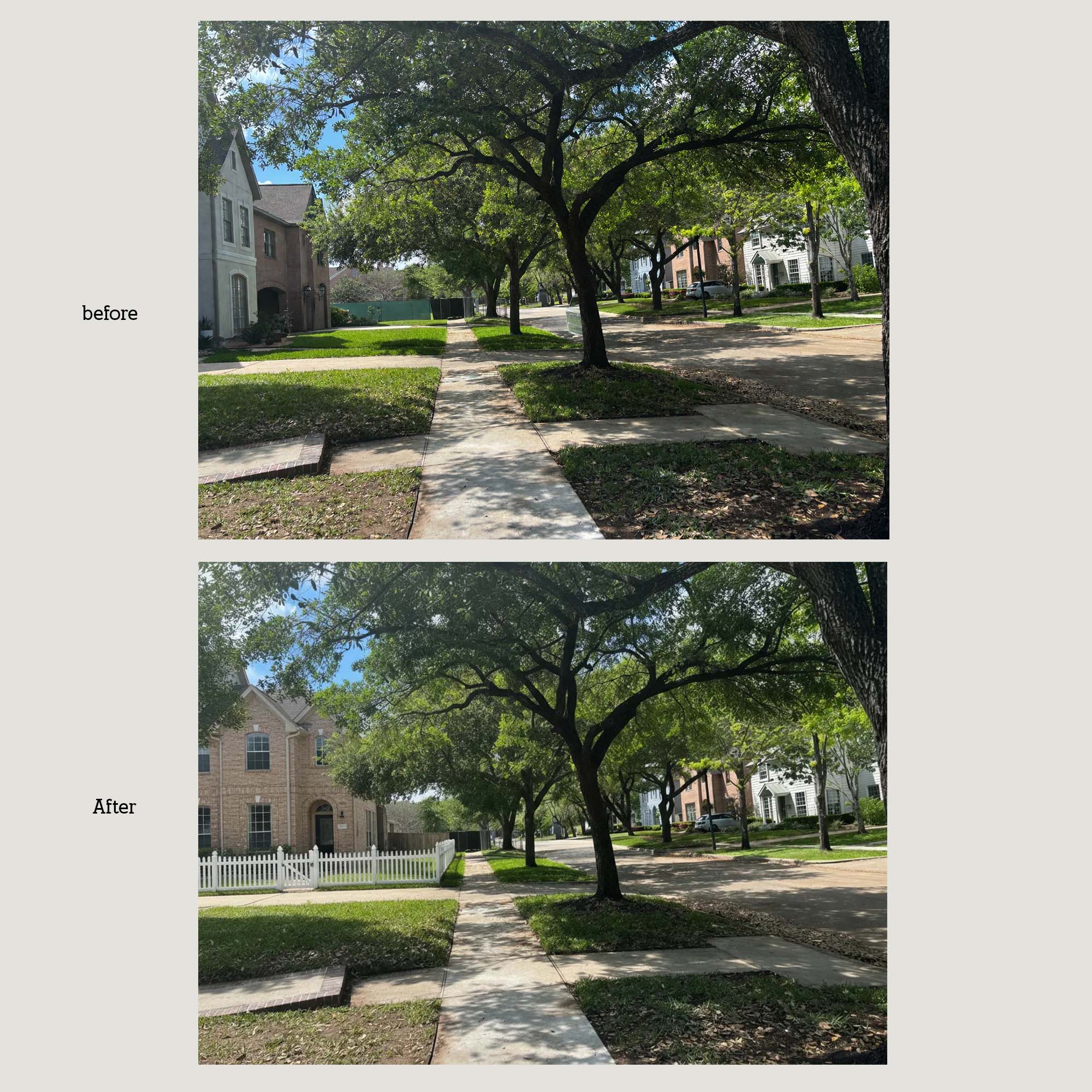 Graphic Design by ahmeddesigner123 for this project | Design #37067437