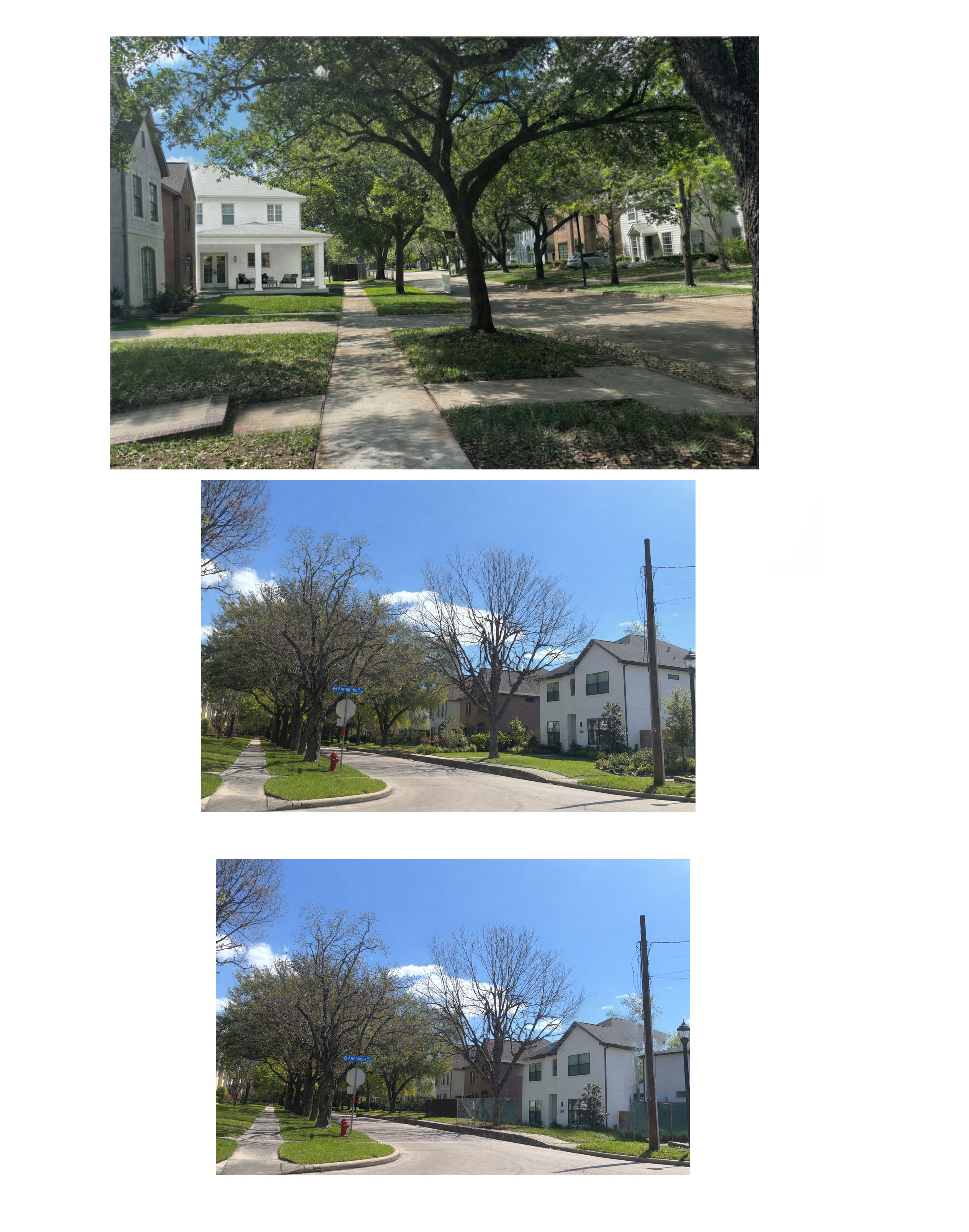 Graphic Design by Mahder for this project | Design #37070542