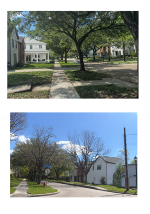 Graphic Design by Mahder for this project | Design: #37083379