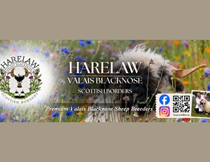 Flyer Design by Custom A for this project | Design: #37073117