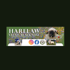 Diseño de Flyer por bethmage janaka para este proyecto | Diseño #37069081