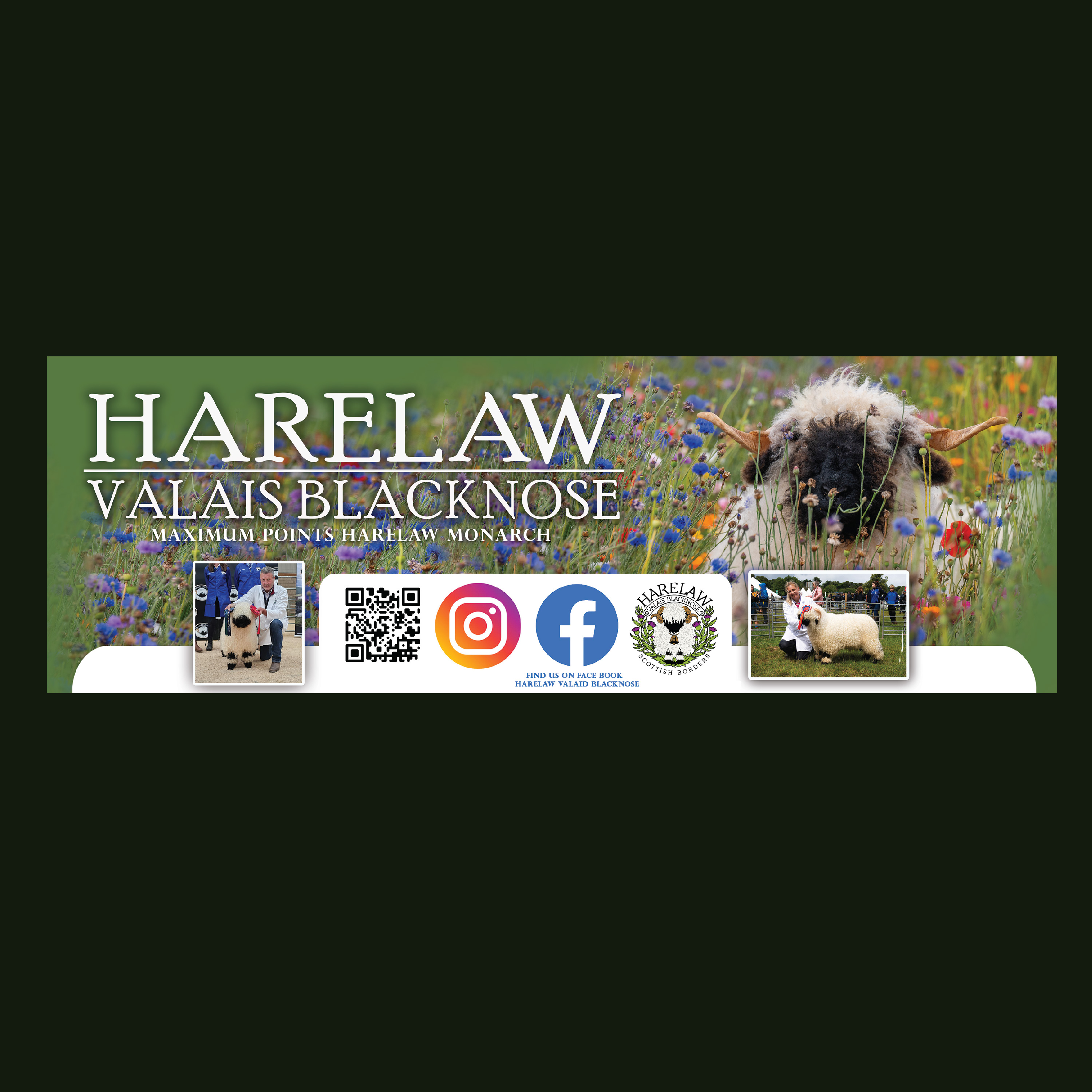 Flyer Design by bethmage janaka for this project | Design #37069656