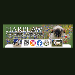 Flyer Design by bethmage janaka for this project | Design: #37069656