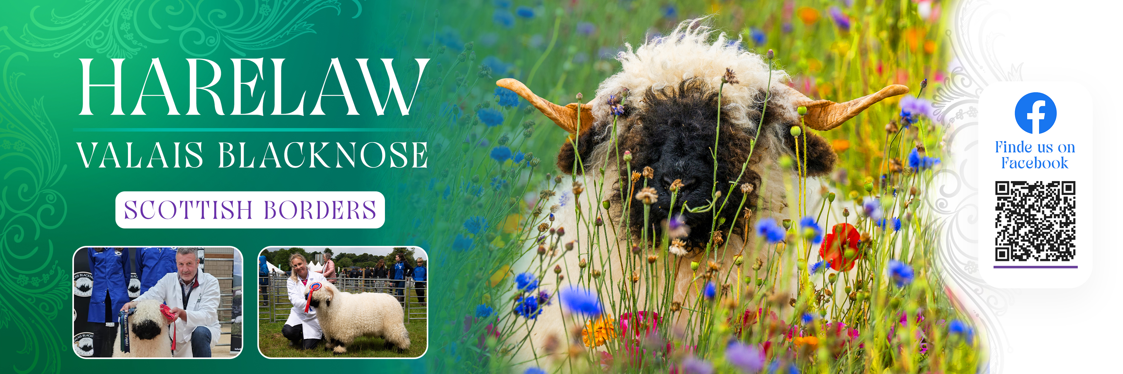 Flyer Design by Farvahar Design Studio for this project | Design #37071035