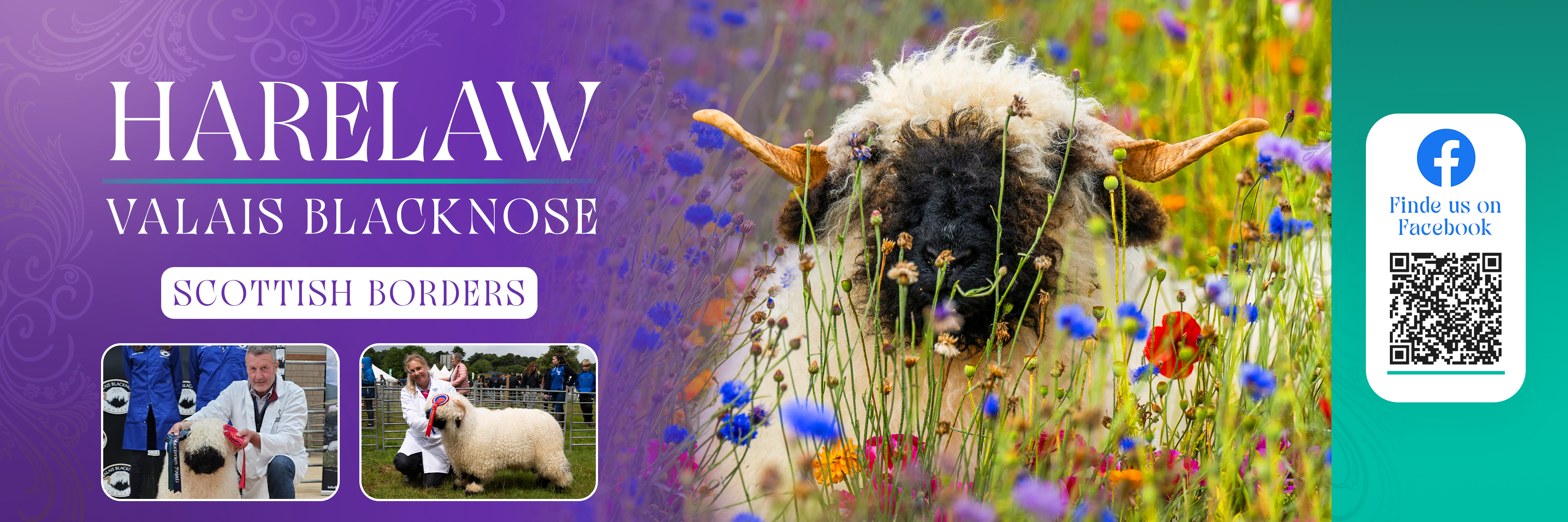 Flyer Design by Farvahar Design Studio for this project | Design #37071036