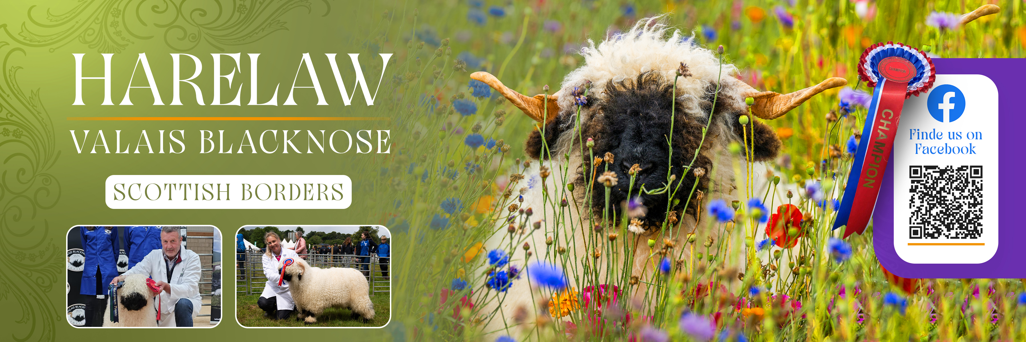 Flyer Design by Farvahar Design Studio for this project | Design #37071067