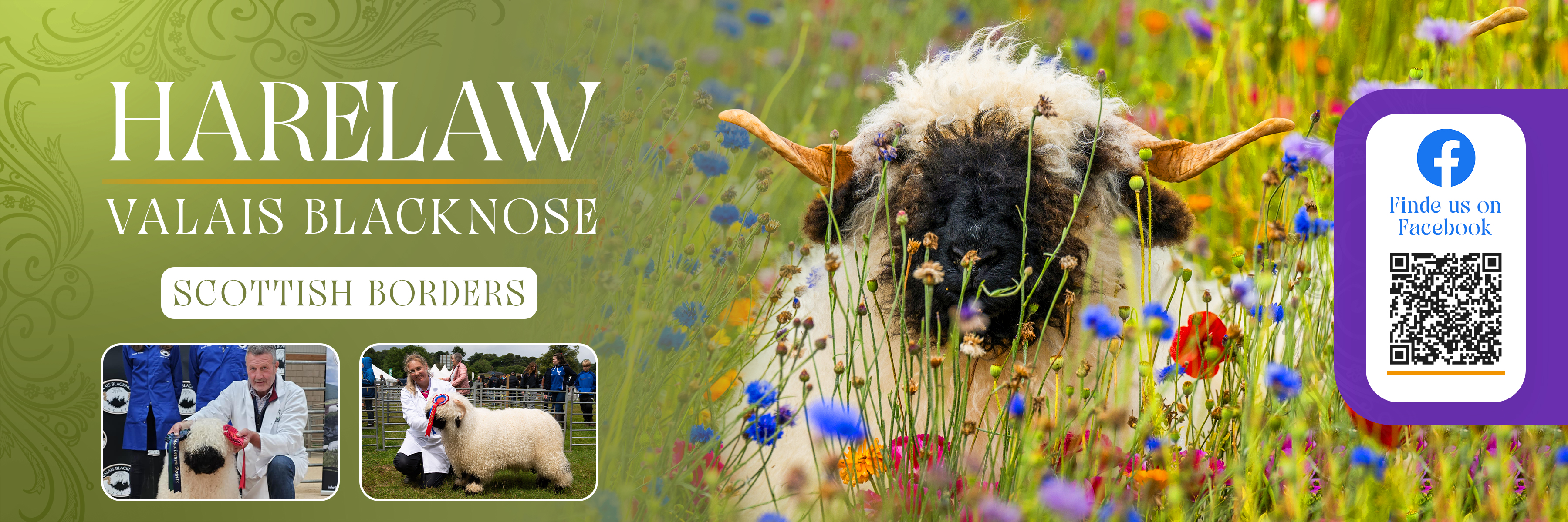 Flyer Design by Farvahar Design Studio for this project | Design #37071068