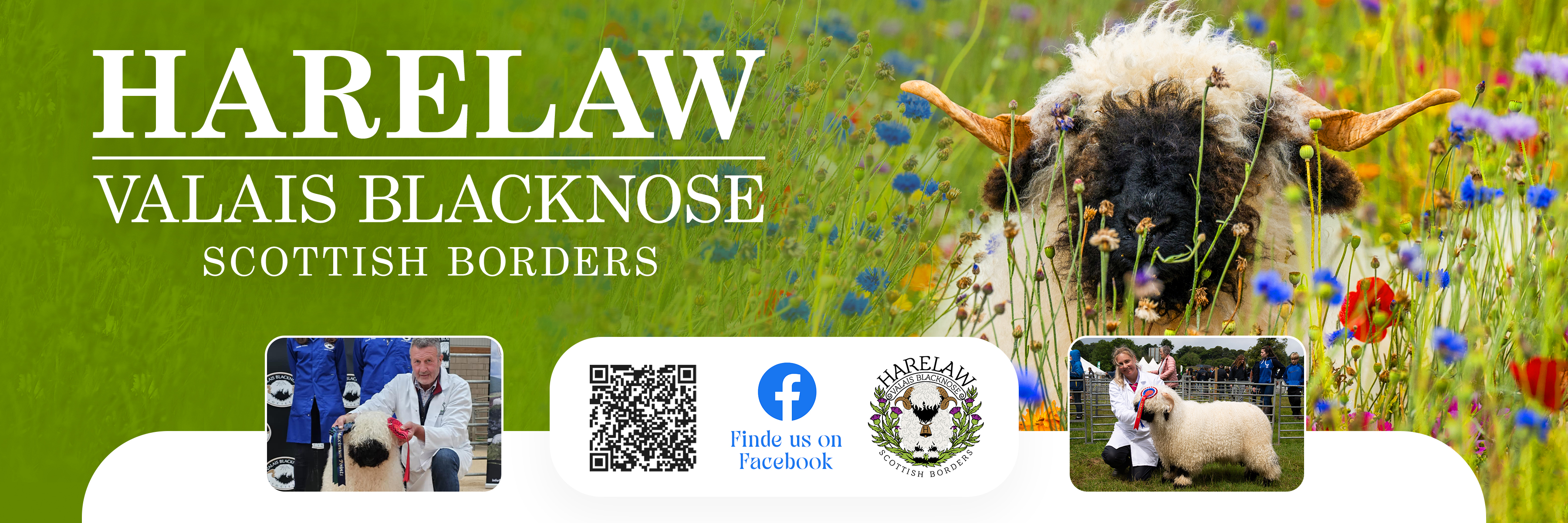 Flyer Design by Farvahar Design Studio for this project | Design #37071069