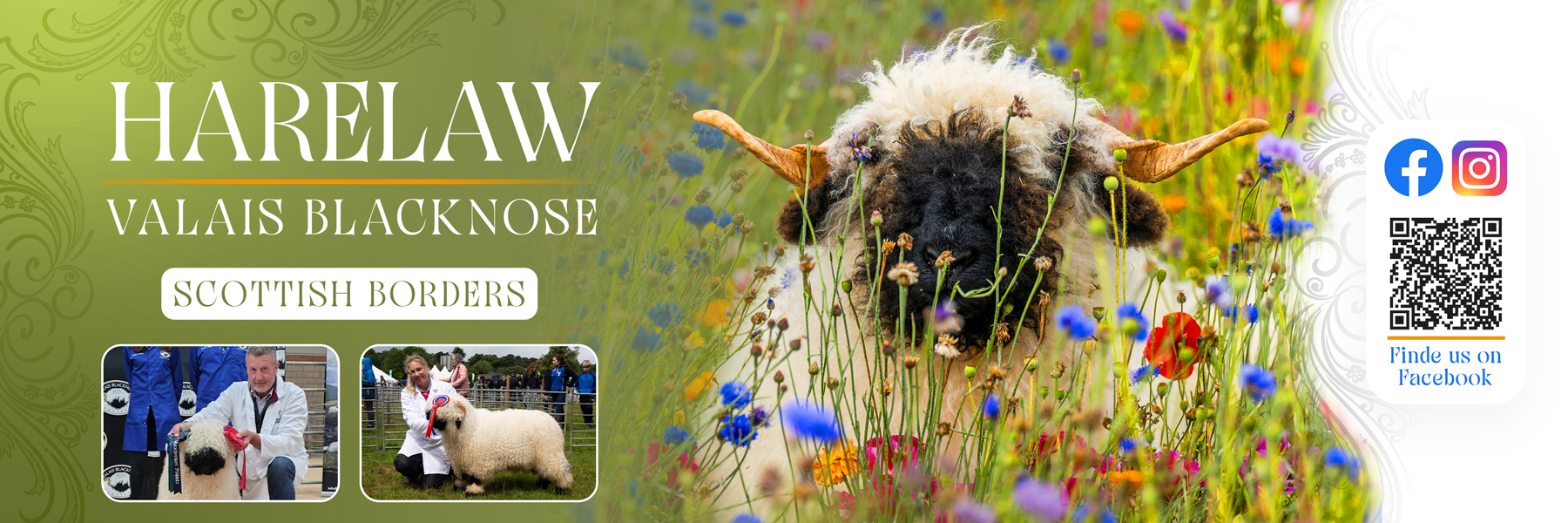 Flyer Design by Farvahar Design Studio for this project | Design #37073010