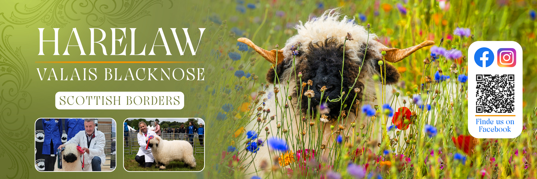 Flyer Design by Farvahar Design Studio for this project | Design #37073011