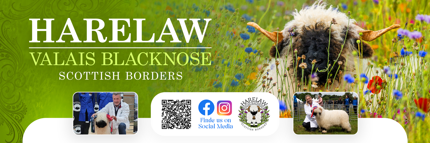 Flyer Design by Farvahar Design Studio for this project | Design #37073019