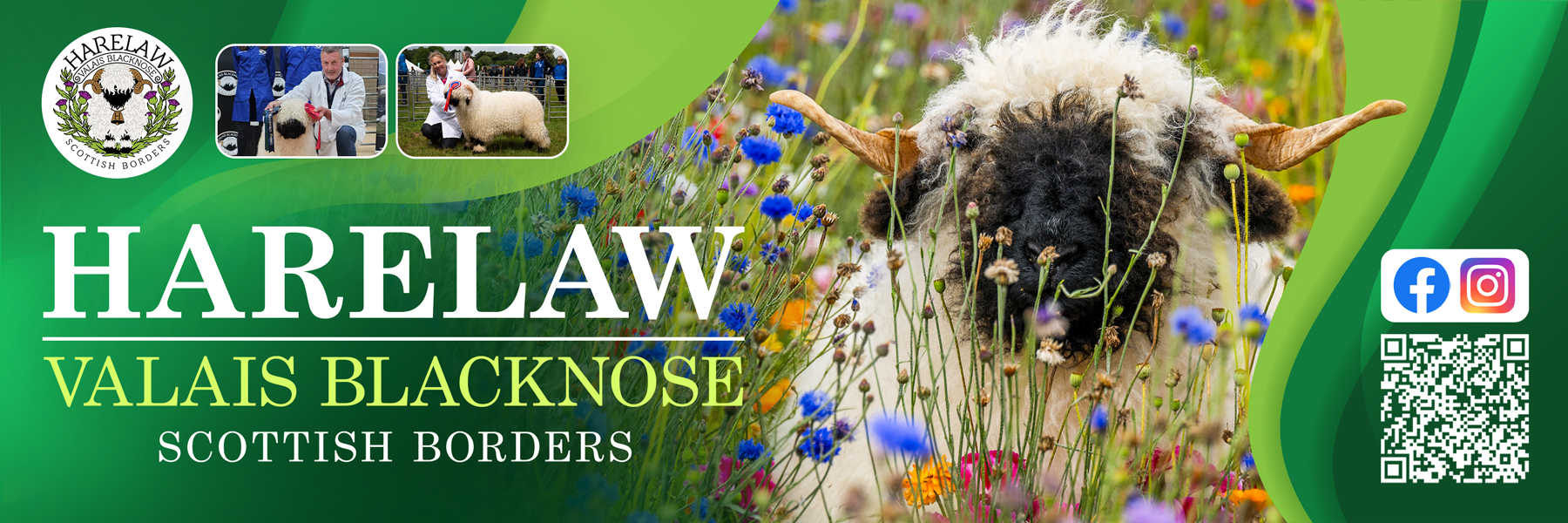 Flyer Design by Farvahar Design Studio for this project | Design #37073190