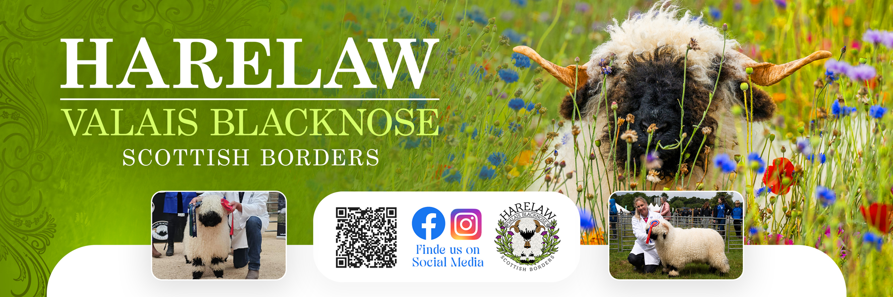 Flyer Design by Farvahar Design Studio for this project | Design #37074559