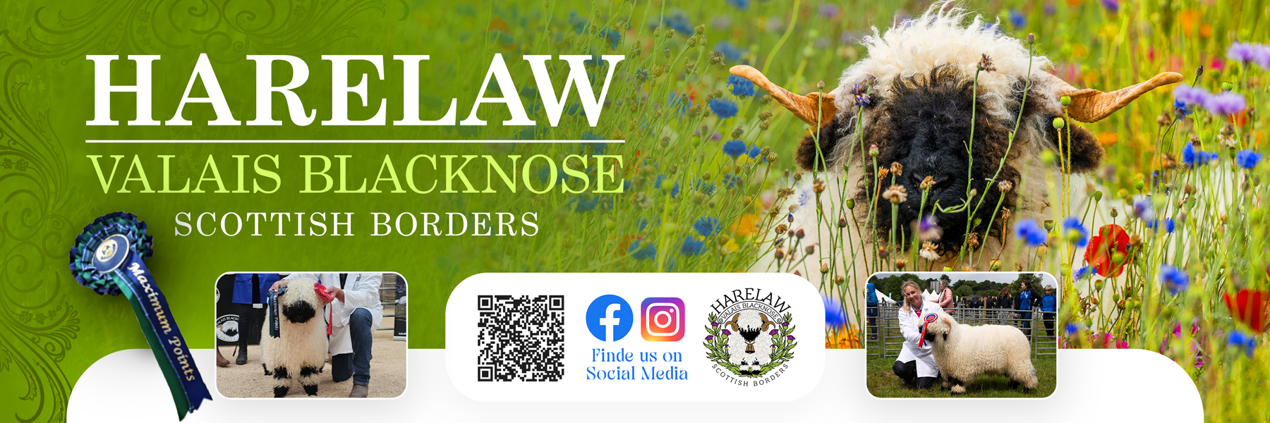 Flyer Design by Farvahar Design Studio for this project | Design #37074560