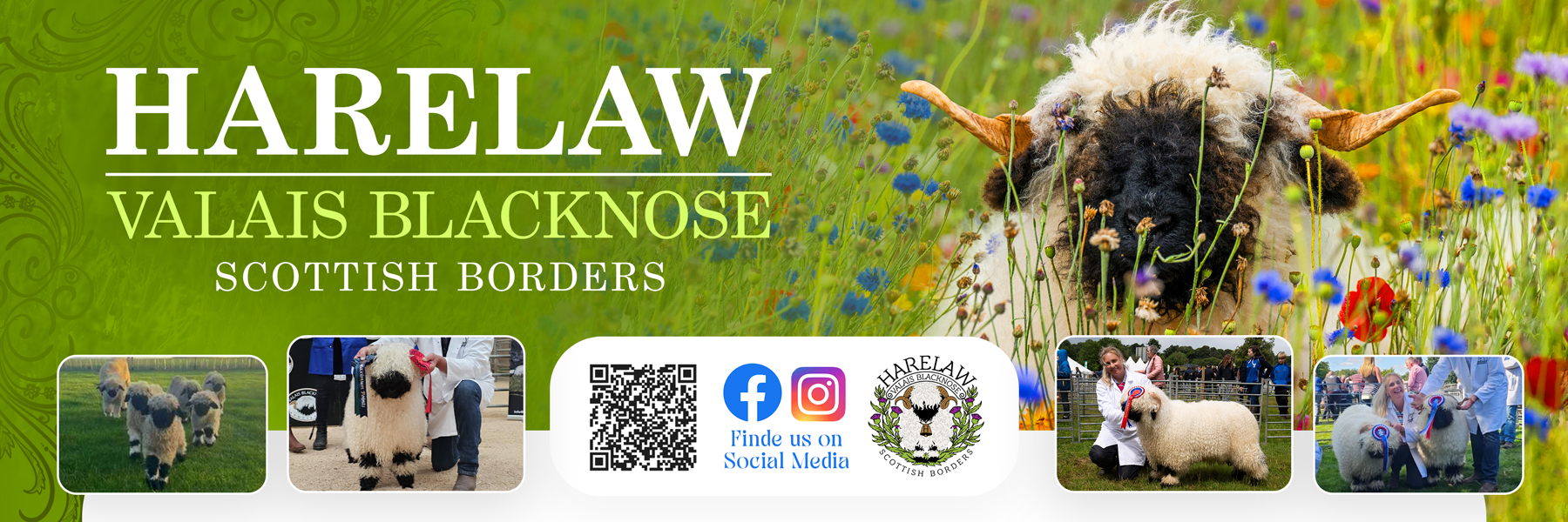 Flyer Design by Farvahar Design Studio for this project | Design #37074561