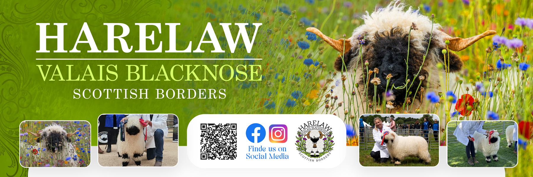 Flyer Design by Farvahar Design Studio for this project | Design #37074830