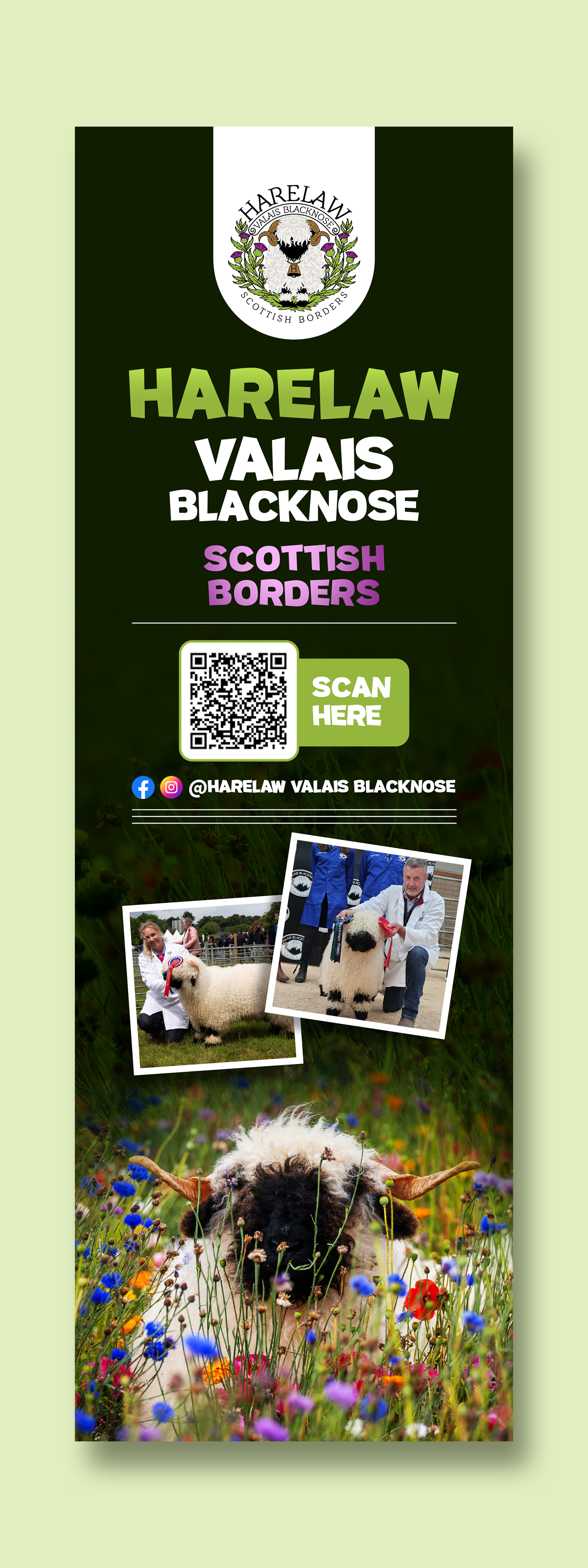 Flyer Design by debdesign for this project | Design #37072037