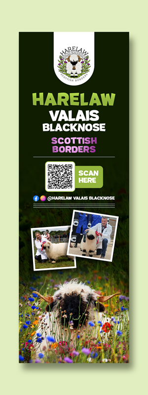 Flyer Design by debdesign for this project | Design: #37072037