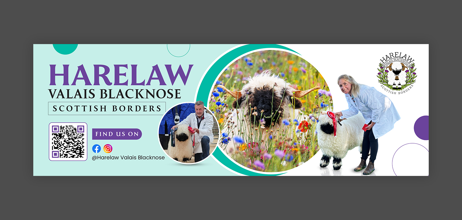 Flyer Design by debdesign for this project | Design #37072163