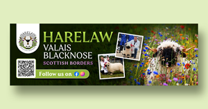 Diseño de Flyer por debdesign para este proyecto | Diseño: #37072198