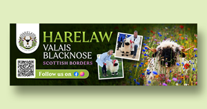 Flyer Design by debdesign for this project | Design: #37072710