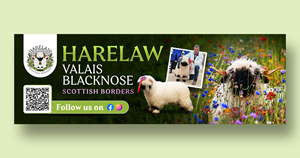 Diseño de Flyer por debdesign para este proyecto | Diseño: #37072711