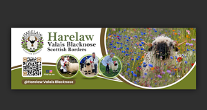 Diseño de Flyer por debdesign para este proyecto | Diseño: #37075581