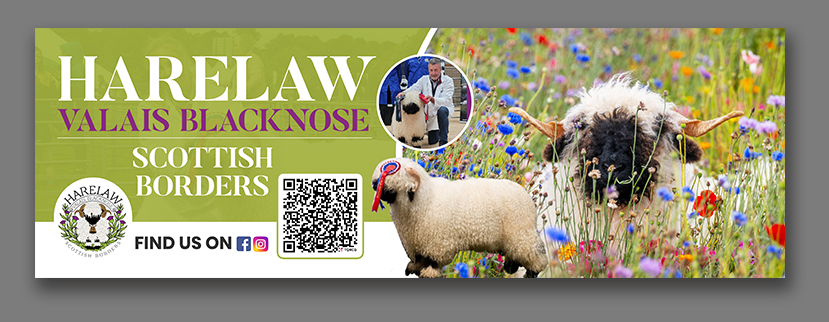 Design de Flyer par debdesign pour ce projet | Design #37076358