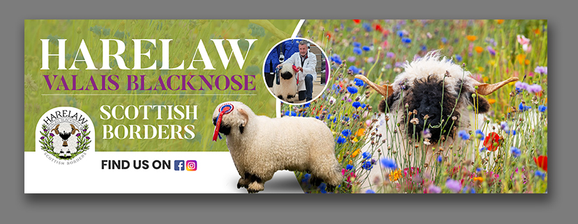 Flyer Design by debdesign for this project | Design #37078944