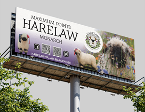 Flyer Design by saurov for this project | Design: #37069817