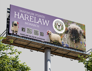 Flyer Design by saurov for this project | Design: #37069846