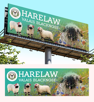 Diseño de Flyer por saurov para este proyecto | Diseño: #37075125