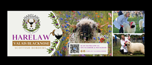 Flyer Design by vcreatived for this project | Design: #37075499