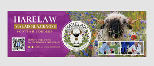 Flyer Design by vcreatived for this project | Design: #37075519