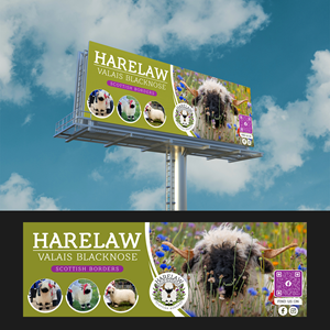 Flyer Design by SWASTIK for this project | Design: #37076966