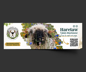 Flyer Design by ThiagoB for this project | Design: #37070326