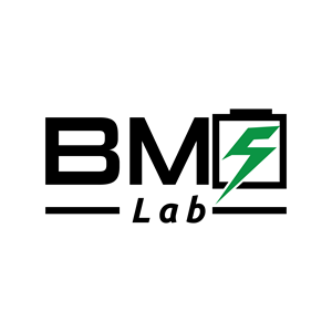 Logo Design by belimbing