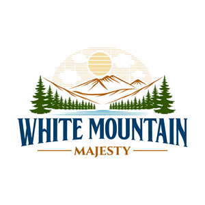 Logo-Design von Suvendu.S für dieses Projekt | Design: #37114525