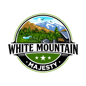 Logo-Design von Suvendu.S für dieses Projekt | Design: #37114710