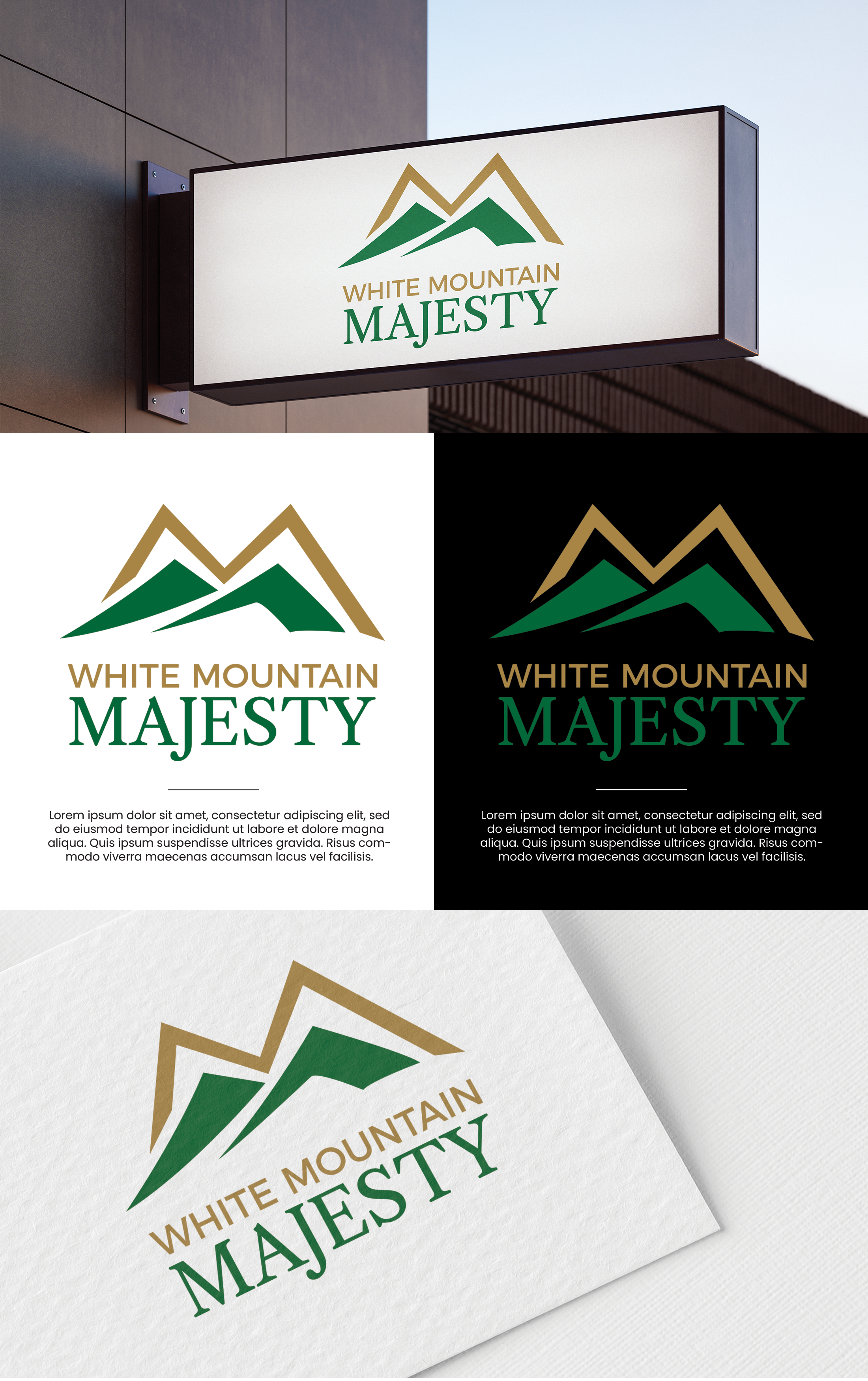 Logo-Design von Innovative Graphix für dieses Projekt | Design #37089214