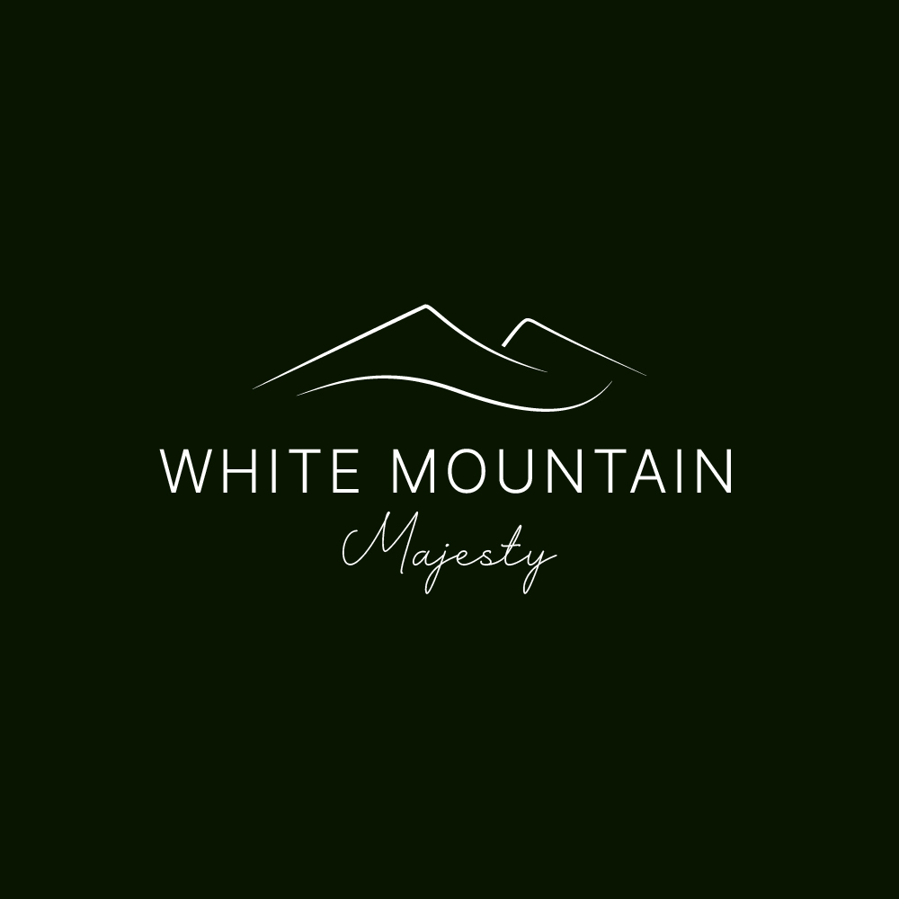 Logo Design by Madrar Studio for this project | Design #37095781