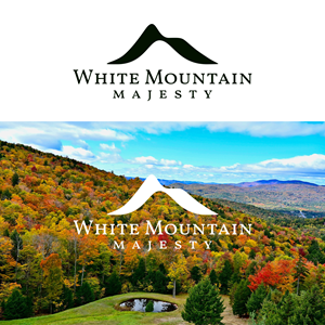 Logo-Design von Lesia_Olesia für dieses Projekt | Design: #37106710