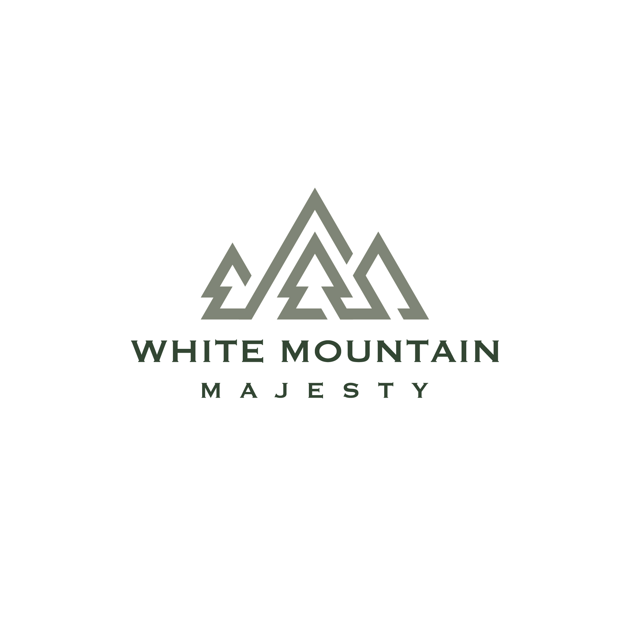 Diseño de Logo por dicubit para este proyecto | Diseño #37113723