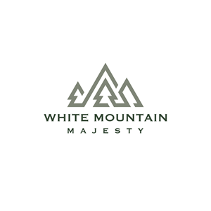 Logo Design by dicubit for this project | Design: #37113723