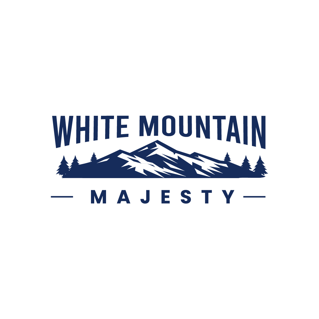 Logo Design by Kayla Studio for this project | Design #37090227