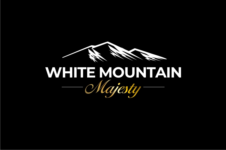 Diseño de Logo por iamrady para este proyecto | Diseño #37112491